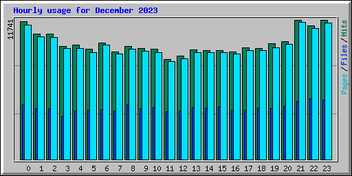 Hourly usage for December 2023