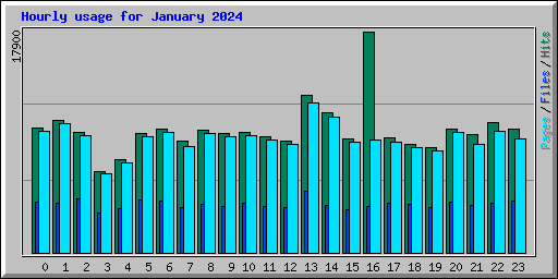 Hourly usage for January 2024