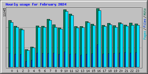 Hourly usage for February 2024