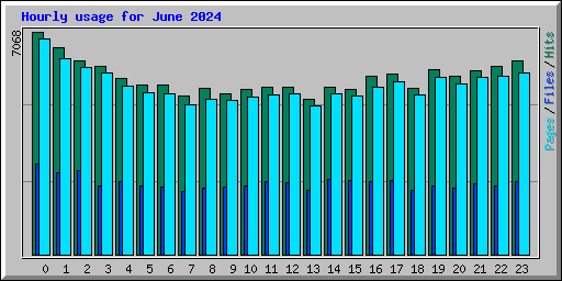 Hourly usage for June 2024