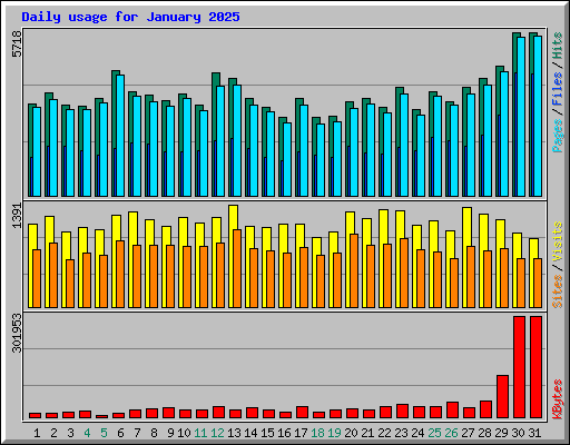 Daily usage for January 2025