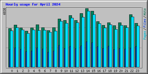 Hourly usage for April 2024