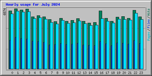 Hourly usage for July 2024