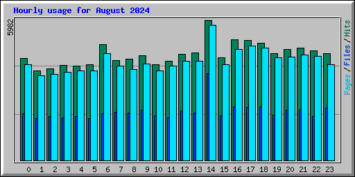 Hourly usage for August 2024