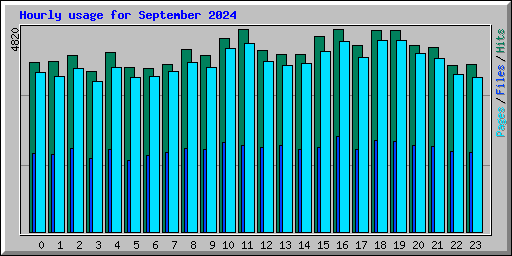 Hourly usage for September 2024