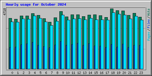 Hourly usage for October 2024