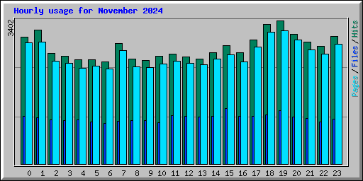 Hourly usage for November 2024