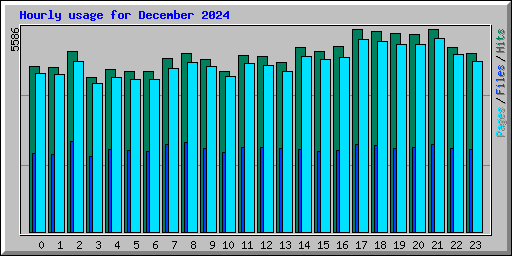 Hourly usage for December 2024