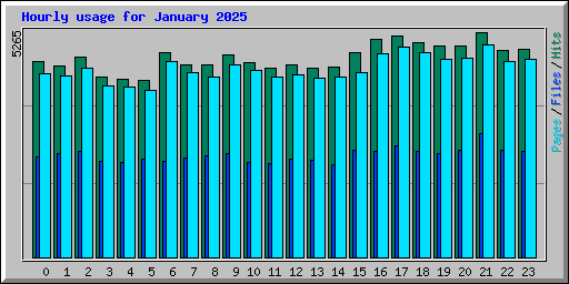 Hourly usage for January 2025