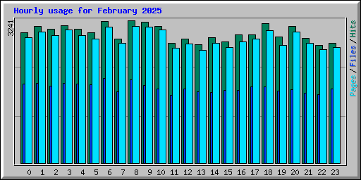 Hourly usage for February 2025